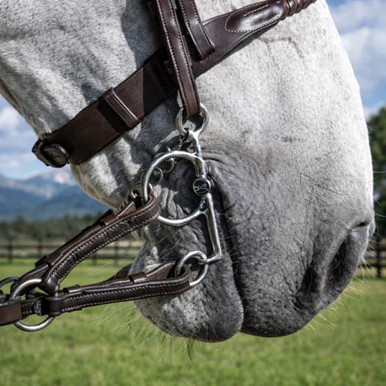 Pelham Bits Explained | Baby Pelham vs Pelham