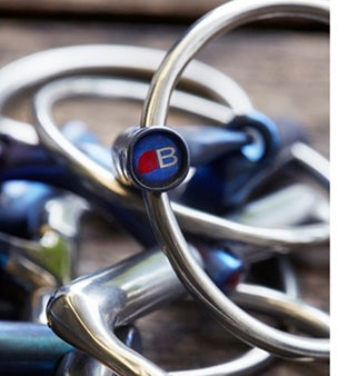 Bits for Horses: Out of Work vs. In Work – What’s the Difference?