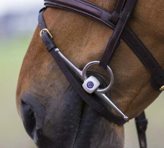 Order Any TRUST Equestrian Bit for Your Horse – Even If It's Not in Stock
