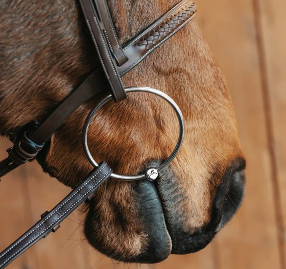 Why More Riders Are Choosing Large Loose Rings