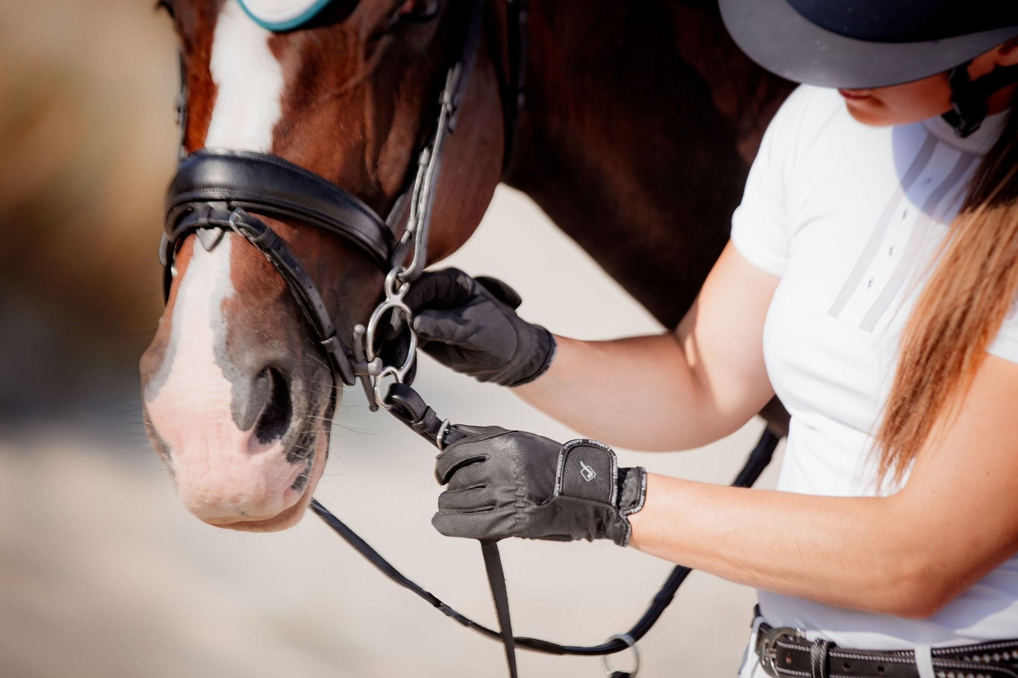 When Is The Best Time to Try New Bits? - Horse Bit Emporium