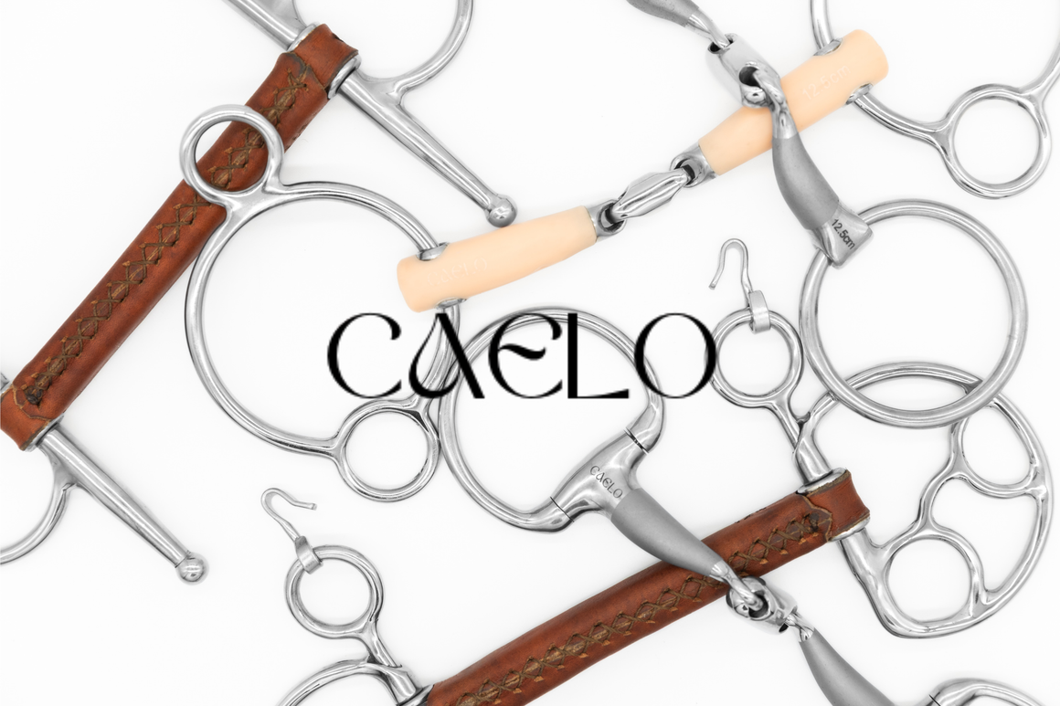 Caelo Horse Bits - Australian Design