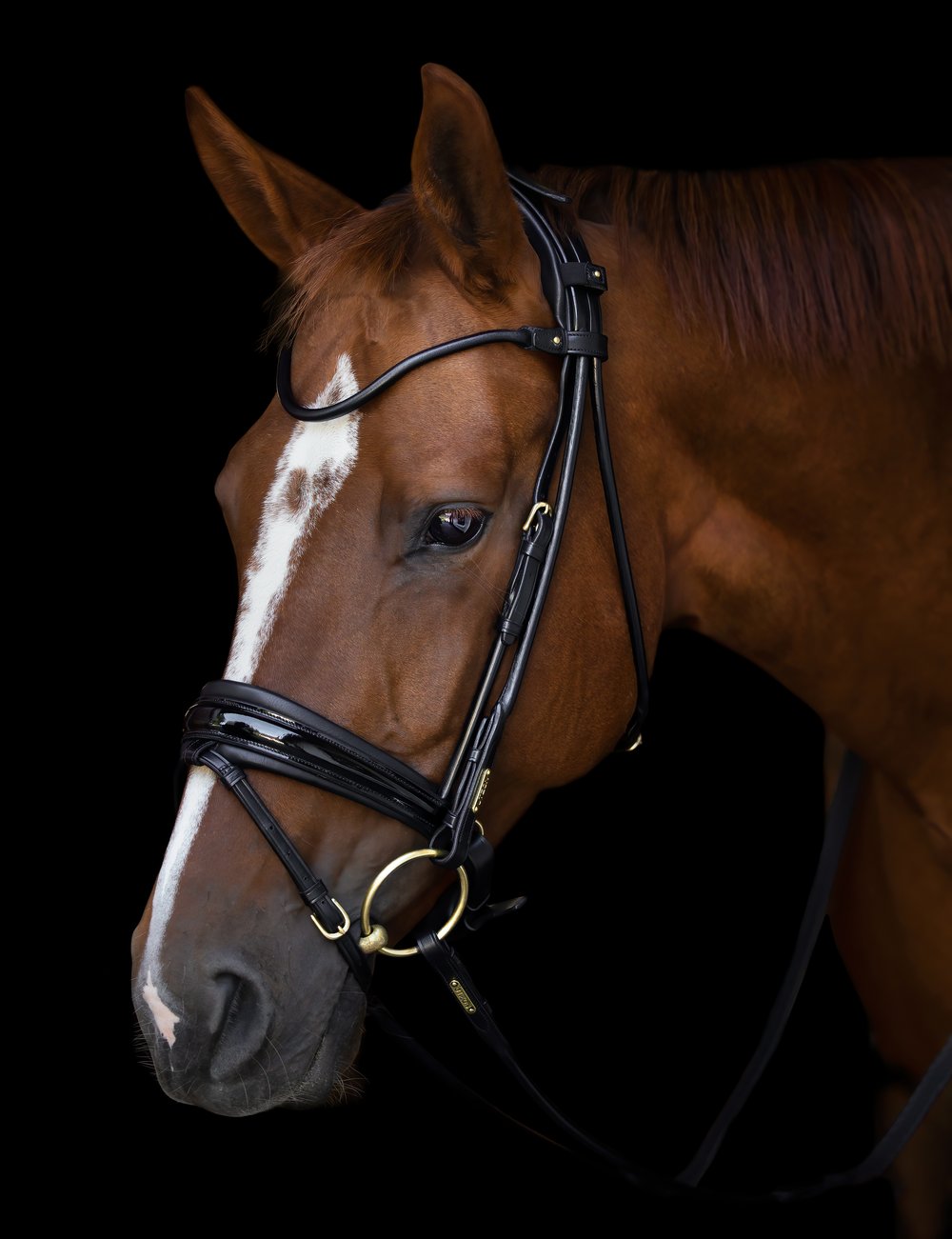 Utzon Bridles