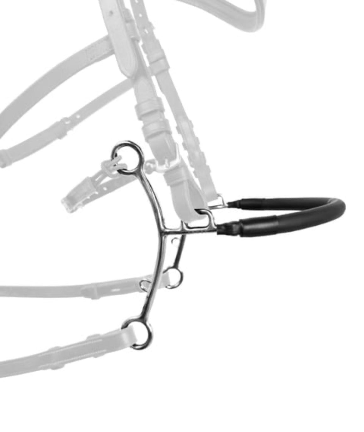 Fager Hector Hackamore Short Shank
