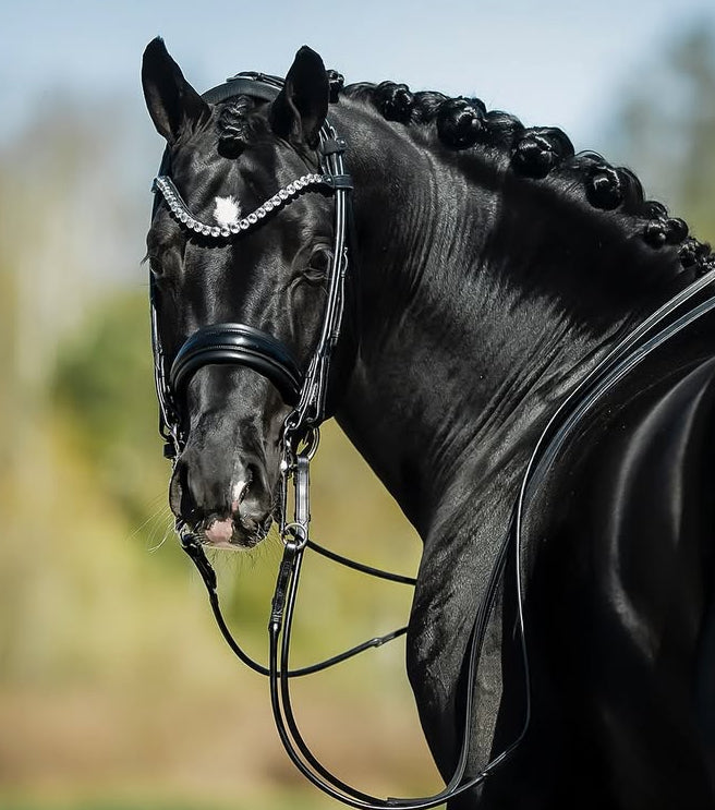 Val du Bois Shaped Black & White Crystal Browband Val du Bois Shaped Black & White Crystal Browband