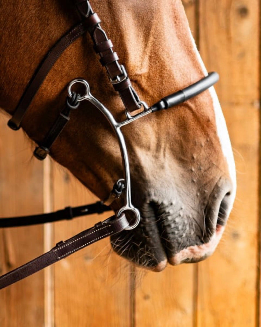Fager Hector Hackamore Medium Shank