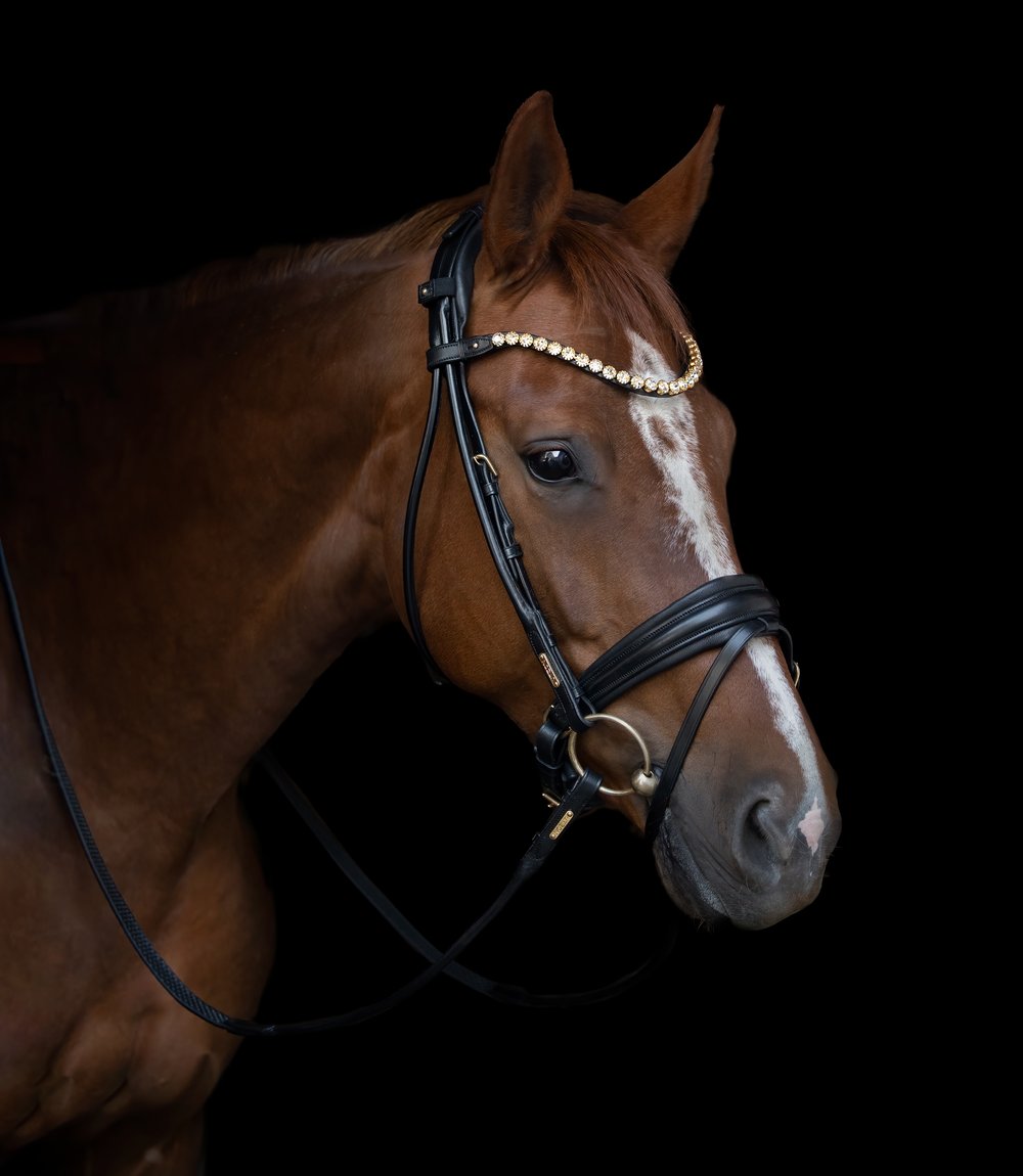 Utzon Edinburgh Dressage Bridle Matte