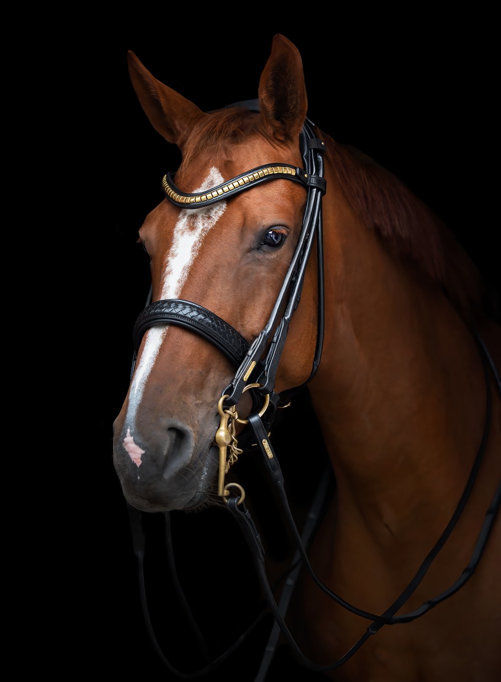 Utzon Olympic Double Bridle