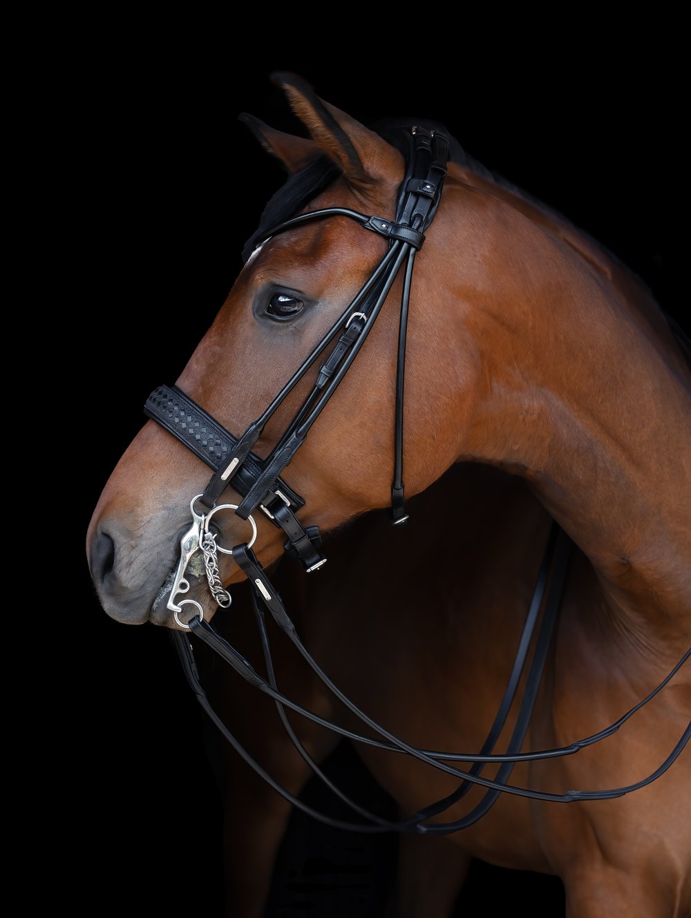 Utzon Olympic Double Bridle - Rolled Browband