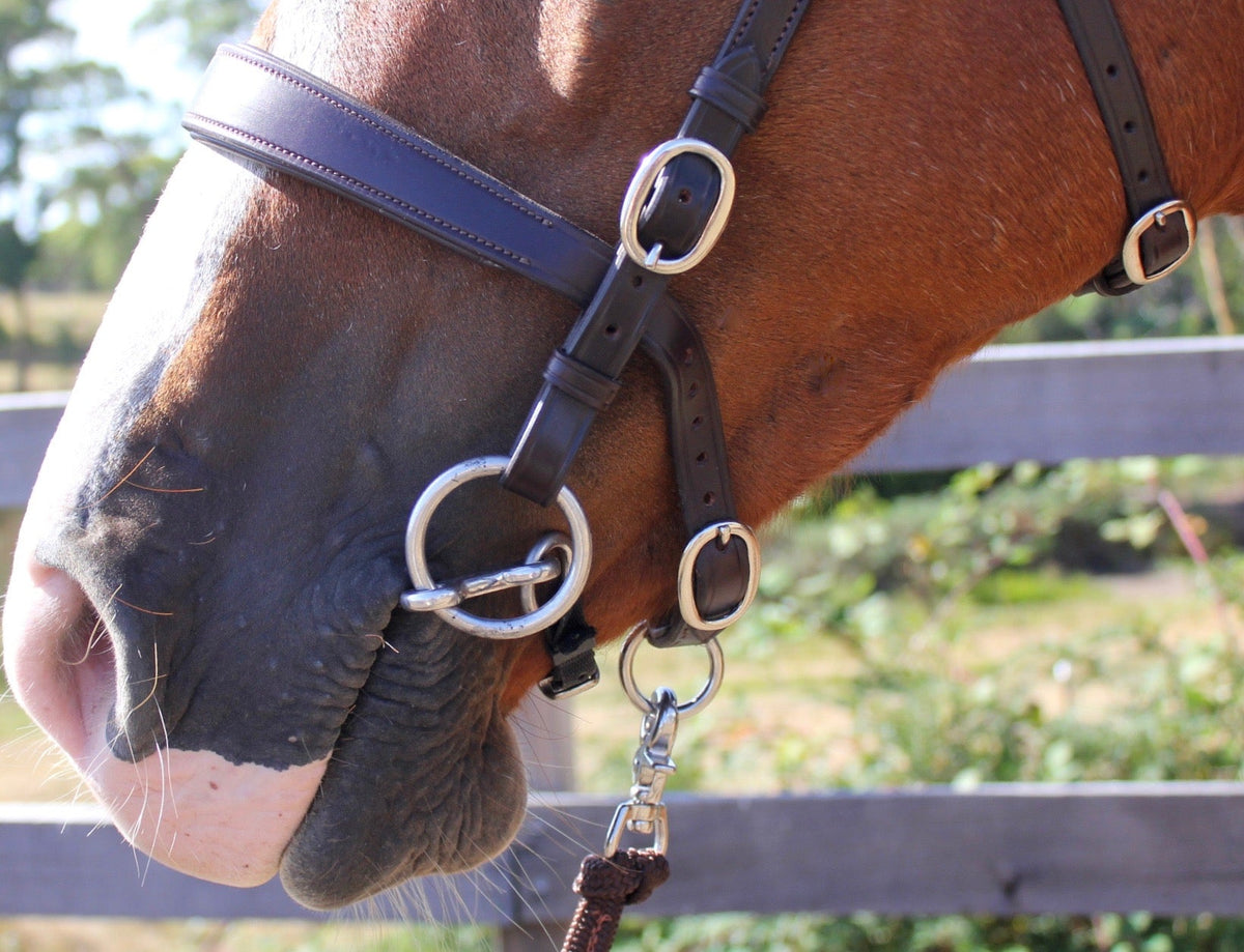 Wee Bit PeeWee Bit - Horse Bit Australia