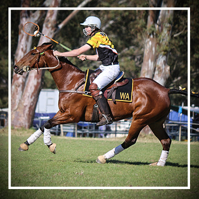 Polocrosse & Polo Bits