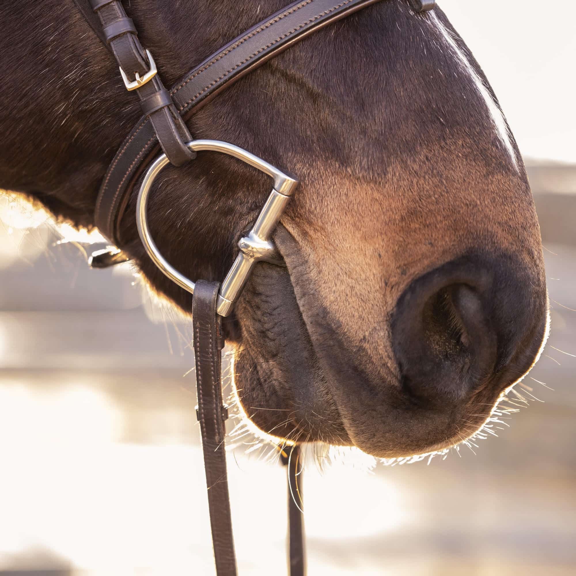 Morso Per Cavallo AK Sweat Iron Eggbut - Con Rullo Cooper Doppio Snodo - Foto 12